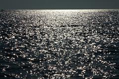 130-San Pietro,28 luglio 2014